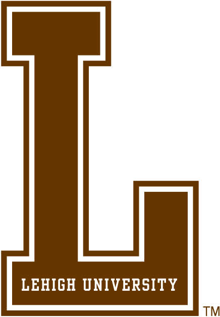 Lehigh Mountain Hawks 0-Pres Alternate Logo v2 DIY iron on transfer (heat transfer)
